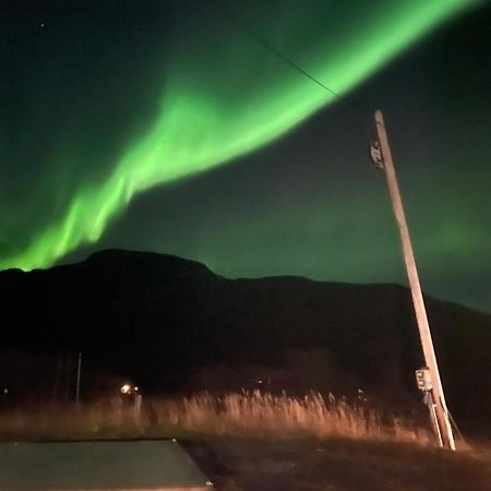 Ose Camping Gratangen Exteriör bild