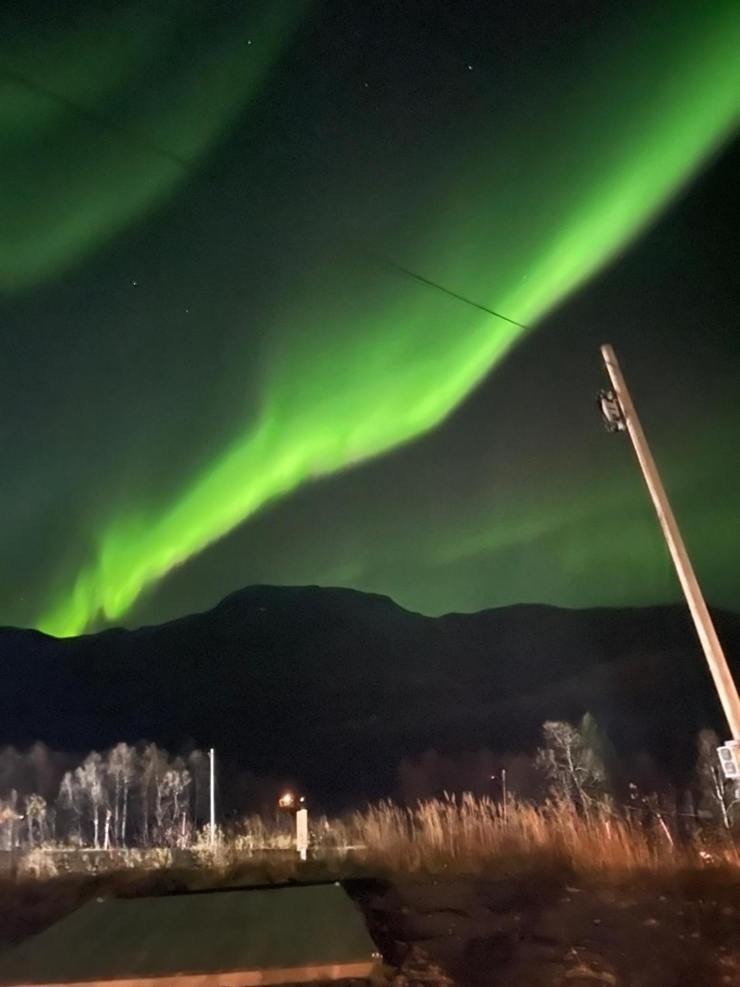 Ose Camping Gratangen Exteriör bild